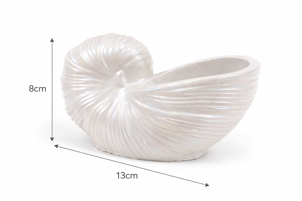 Set of 3 Handmade Shell-Shaped Gypsum Candle Holders | Pearlescent Paint | DIY Container Candles | 80-120ml | Coastal Home Decor Gift